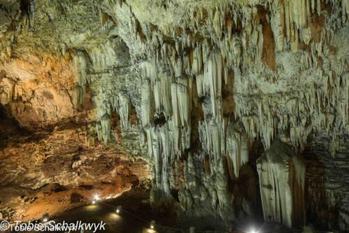 Wonder Caves
